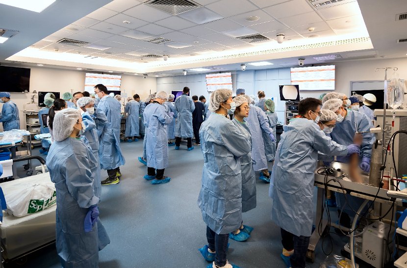 HK Wrist Course 2024 - Workshops  - 69 of 241